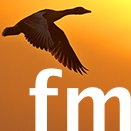 FM logo