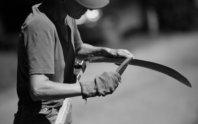 Scythe being sharpened