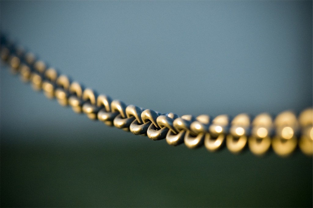 Chain link