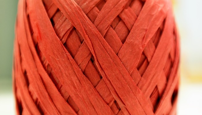 for british form eea application citizenship Processes 2016, documentation applications EEA for procedures and