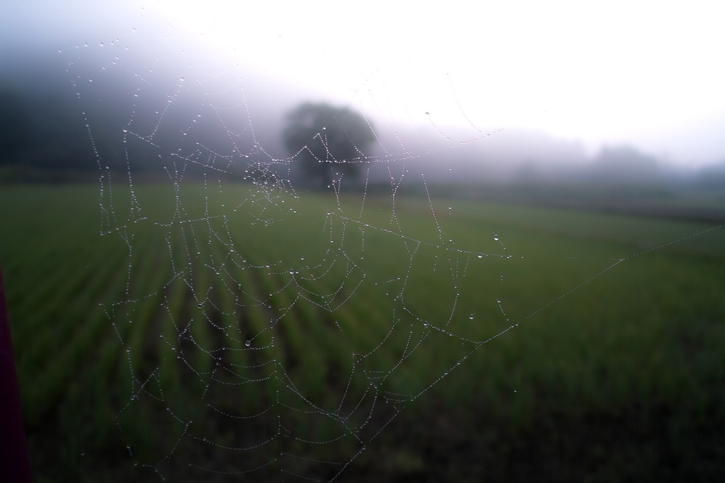 photo-1431051047106-f1e17d81042f