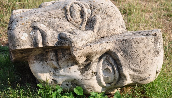 statue head trauma ptsd