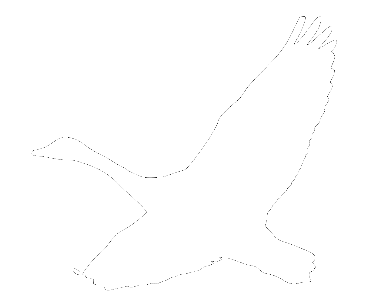 Goose logo white