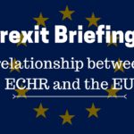 Relationship between the ECHR and the EU - paper 6 (2)