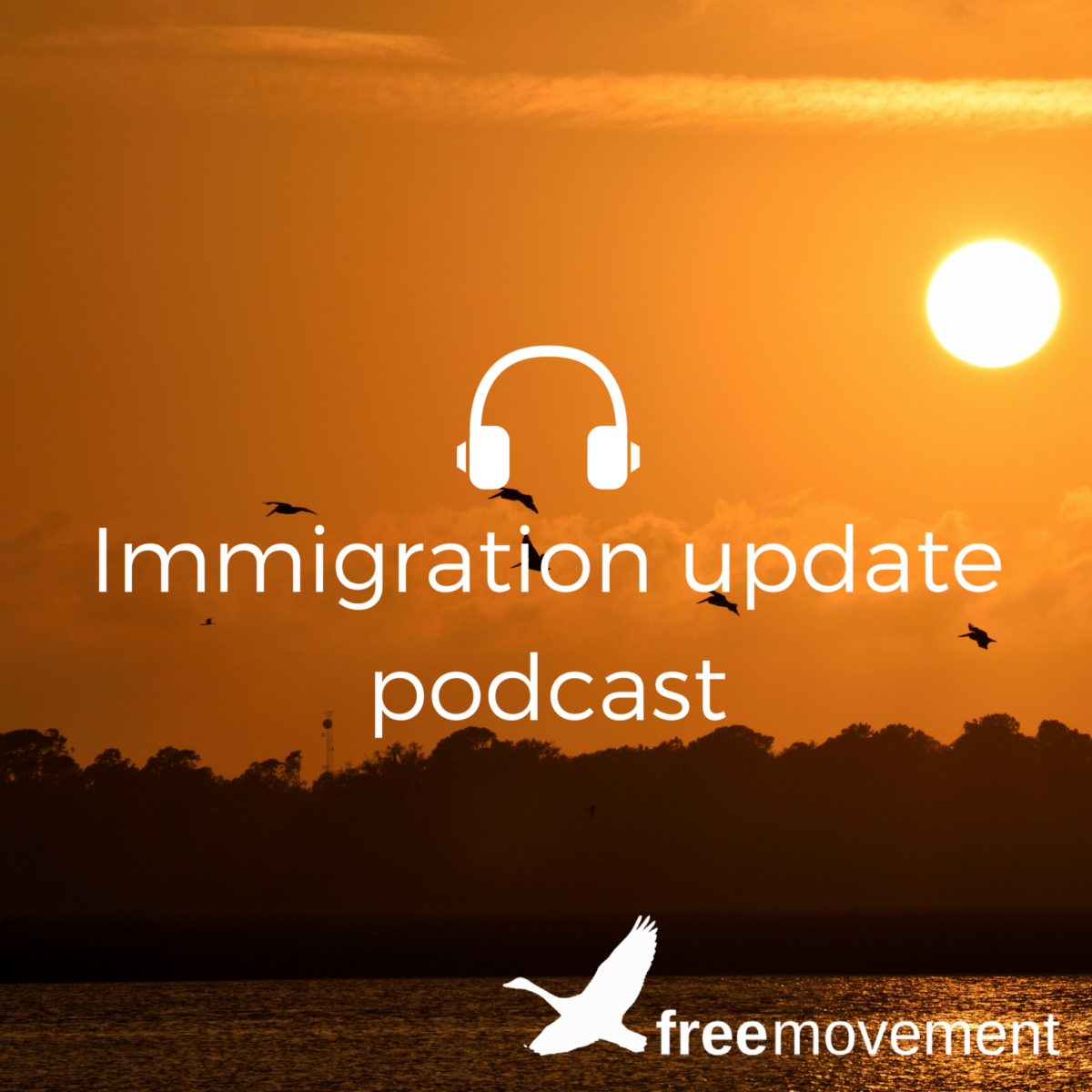 https___www.freemovement.org.uk_new-windrush-research-available-commonwealth-citizens-pre-1973_