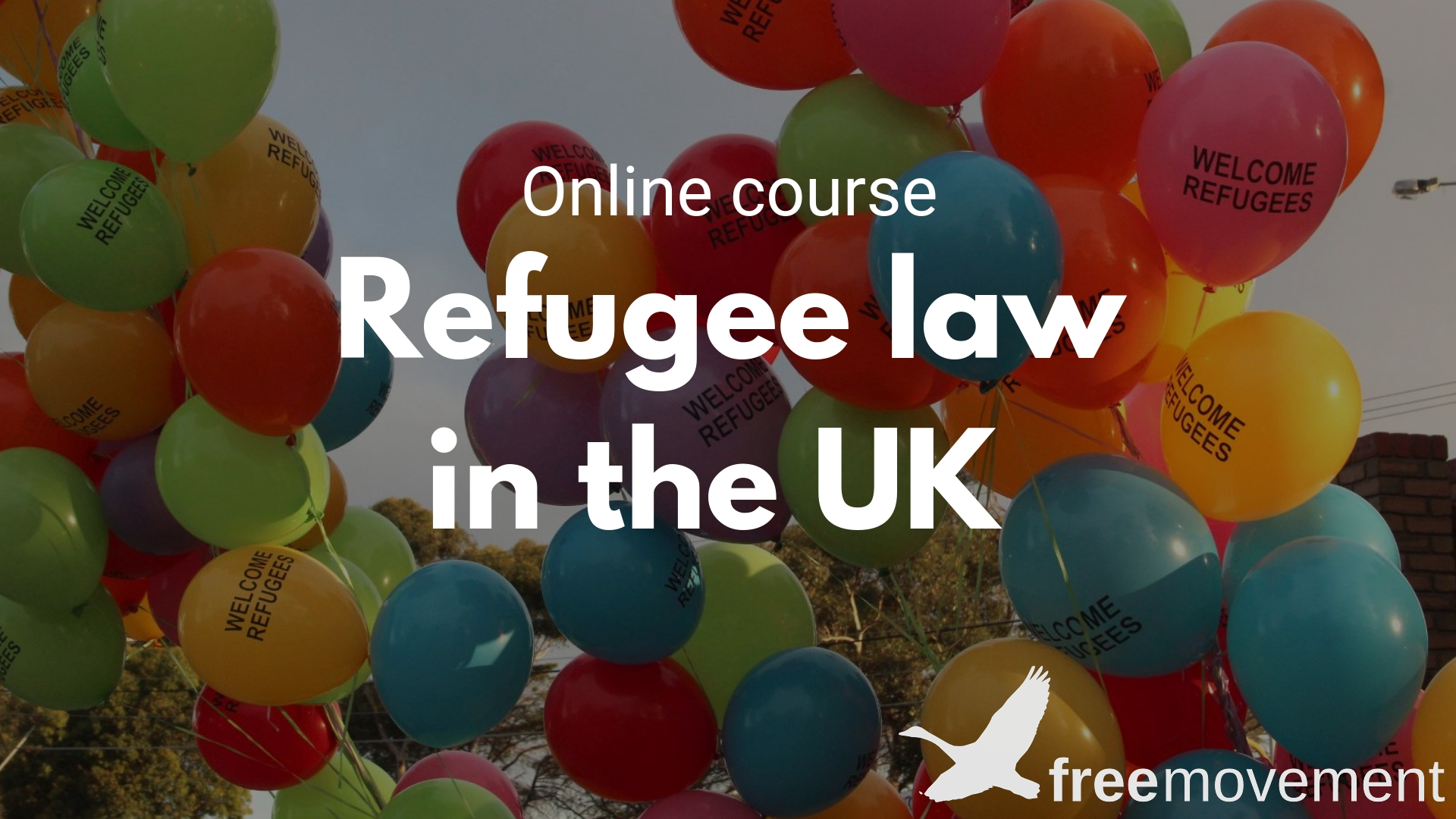 Refugee law course