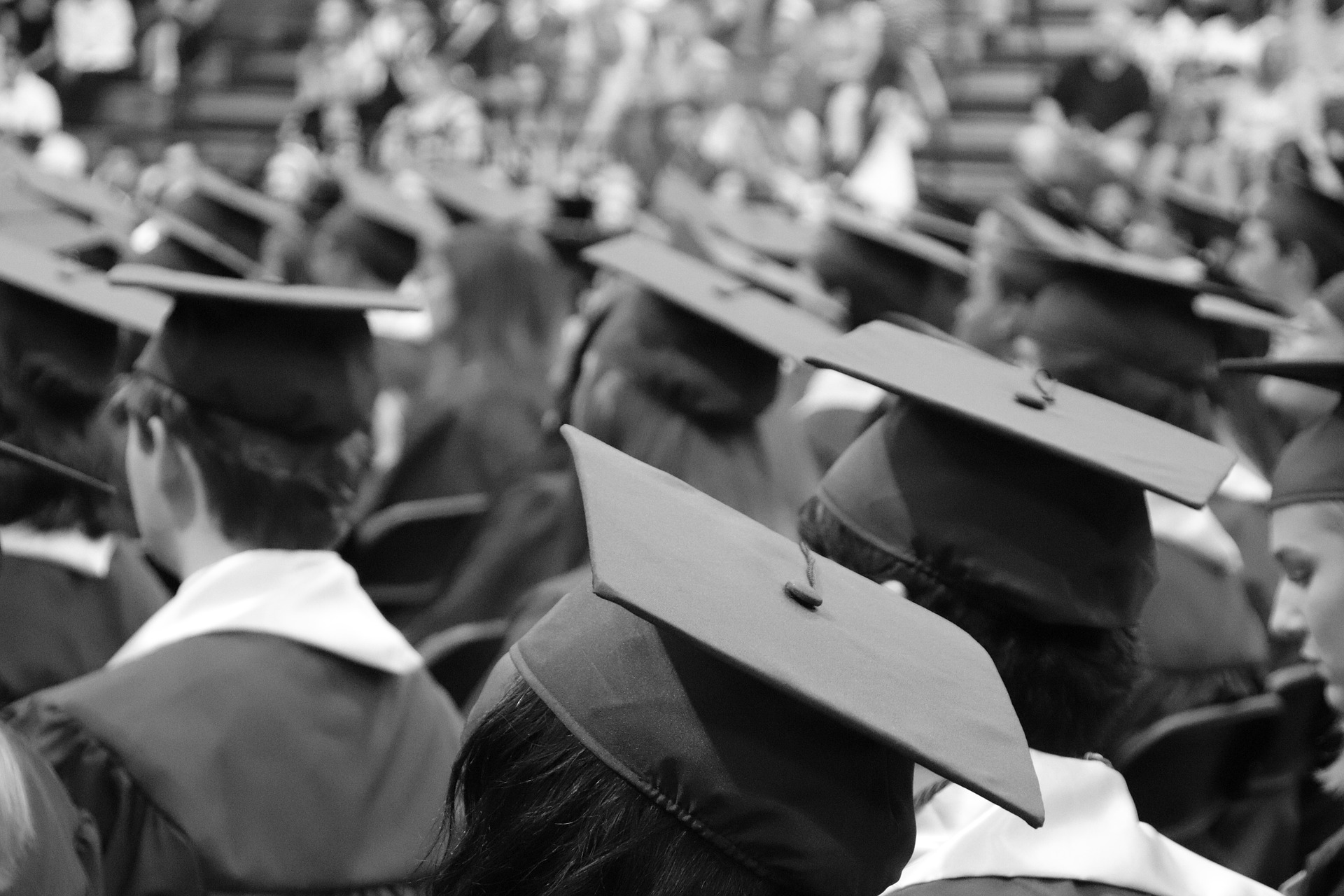 | visa work Free post of study announced ... Return two-year work post Free two-year Return of visa study announced | ...
